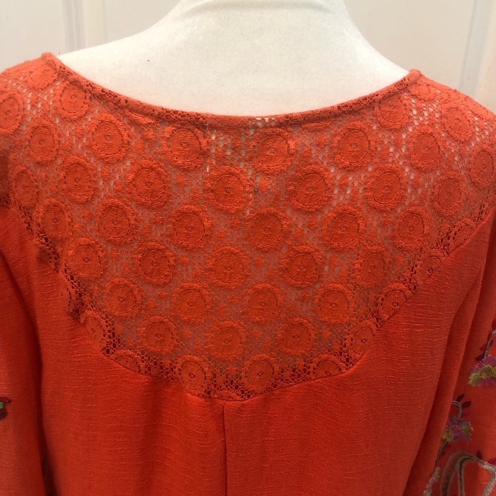 Fig and Flower Size L gauzey mini dress with embroidery and lace. Fall autumn - Picture 4 of 9